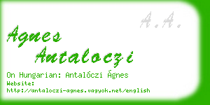 agnes antaloczi business card